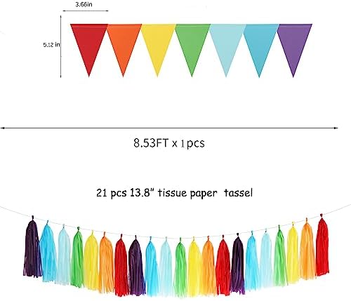 Rainbow Party Decorations Tissue Pom Poms 30pcs Set
