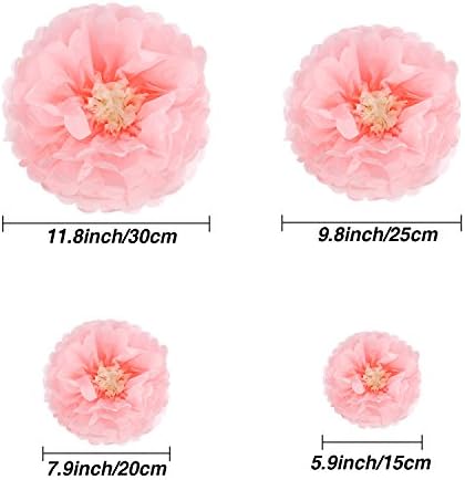 Gejoy 20 Piece Mexican Day of the Dead Paper Flower Pom Poms Set