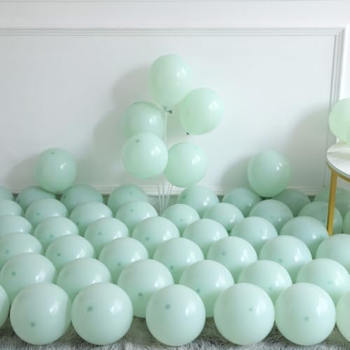 Under the Sea Party Decorations 156Pcs Shark Balloon Arch Kit