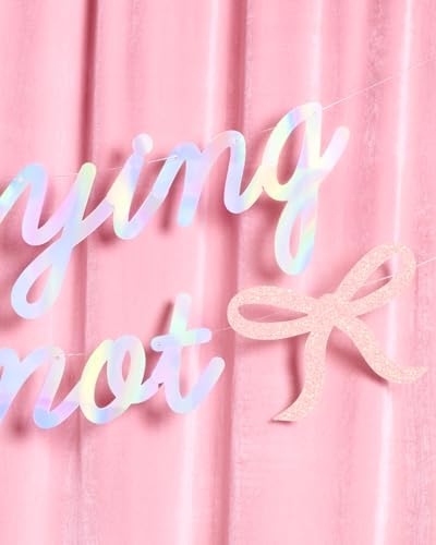 XO Fetti Shes Tying the Knot Banner - Iridescent Foil 45 Ft
