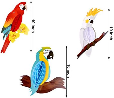 Tuparka 6pcs Tropical Birds Hanging Decorations