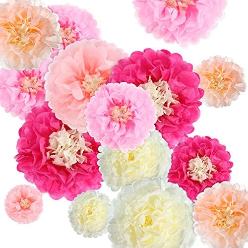 Gejoy 20 Piece Mexican Day of the Dead Paper Flower Pom Poms Set