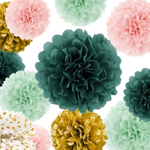 AOBKIAT 15PCS Tissue Paper Pom Poms Garland Decor Set