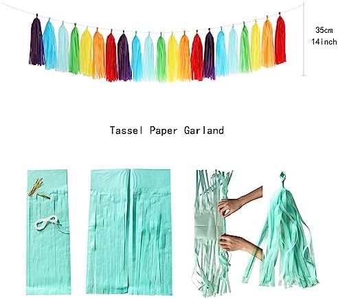 Rainbow Party Decorations Tissue Pom Poms 30pcs Set