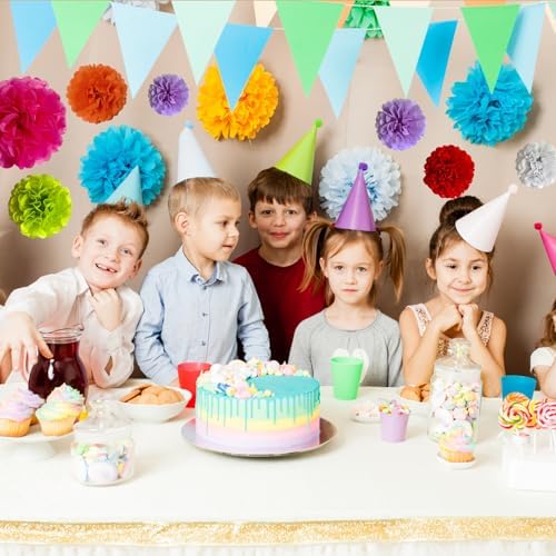 24 Packs Fiesta Decorations Tissue Paper Pom Poms Flower Set