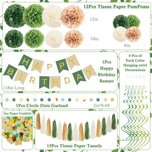 Green Birthday Decorations Kit with Pom Poms and Banner