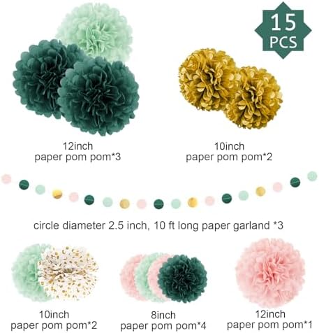AOBKIAT 15PCS Tissue Paper Pom Poms Garland Decor Set