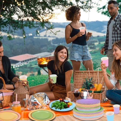 192PCS Rainbow Party Supplies Set for 48 Guests