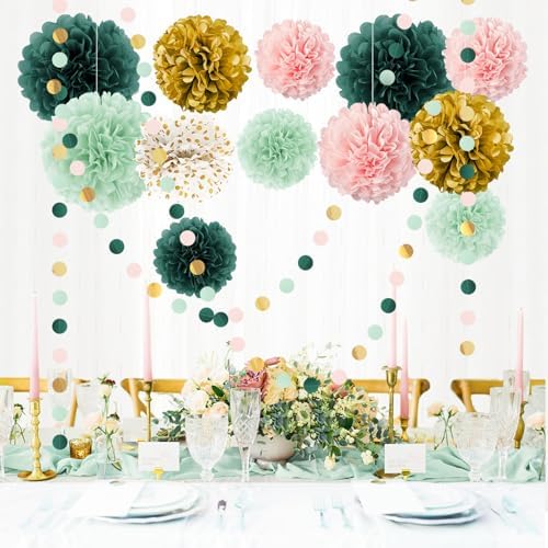 AOBKIAT 15PCS Tissue Paper Pom Poms Garland Decor Set