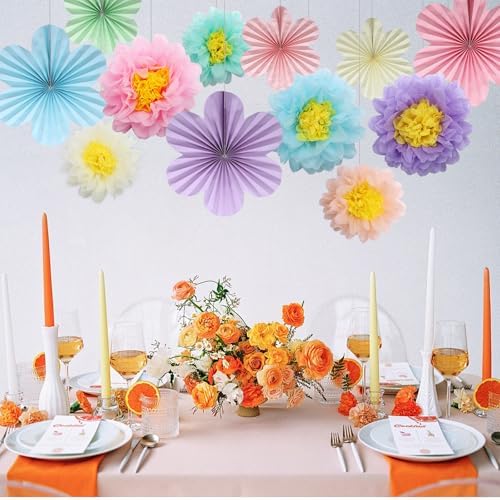 BestoFun 12PCS Pastel Tissue Paper Flowers Fans Decorations
