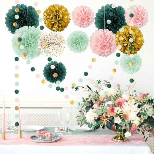 AOBKIAT 15PCS Tissue Paper Pom Poms Garland Decor Set