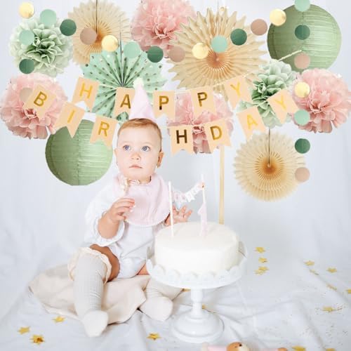 Sage Green and Pink Birthday Decorations Kit