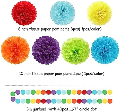 Rainbow Party Decorations Tissue Pom Poms 30pcs Set