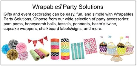 Wrapables 8 Inch Tissue Pom Poms Set of 5 White