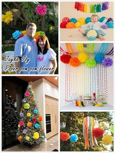 20 Pcs Multicolor Tissue Paper Pom Poms Kit