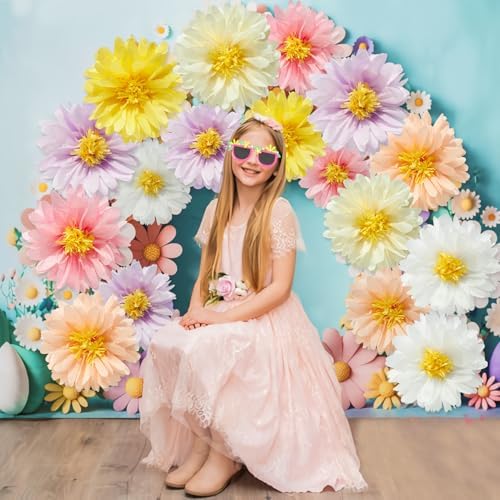 12 Pcs Daisy Tissue Paper Pom Poms Decorations