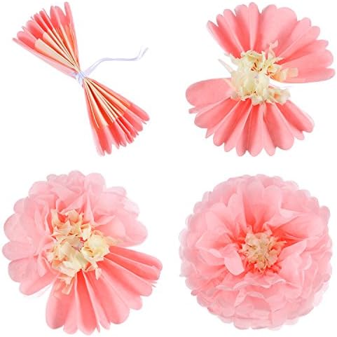 Gejoy 20 Piece Mexican Day of the Dead Paper Flower Pom Poms Set