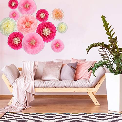 Gejoy 20 Piece Mexican Day of the Dead Paper Flower Pom Poms Set