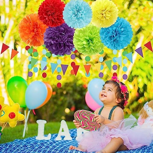 Rainbow Party Decorations Tissue Pom Poms 30pcs Set
