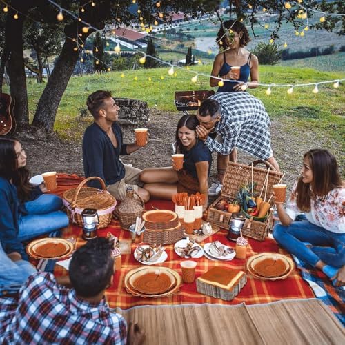 200 Piece Rustic Wood Grain Tableware Set for Camping and Birthday Parties