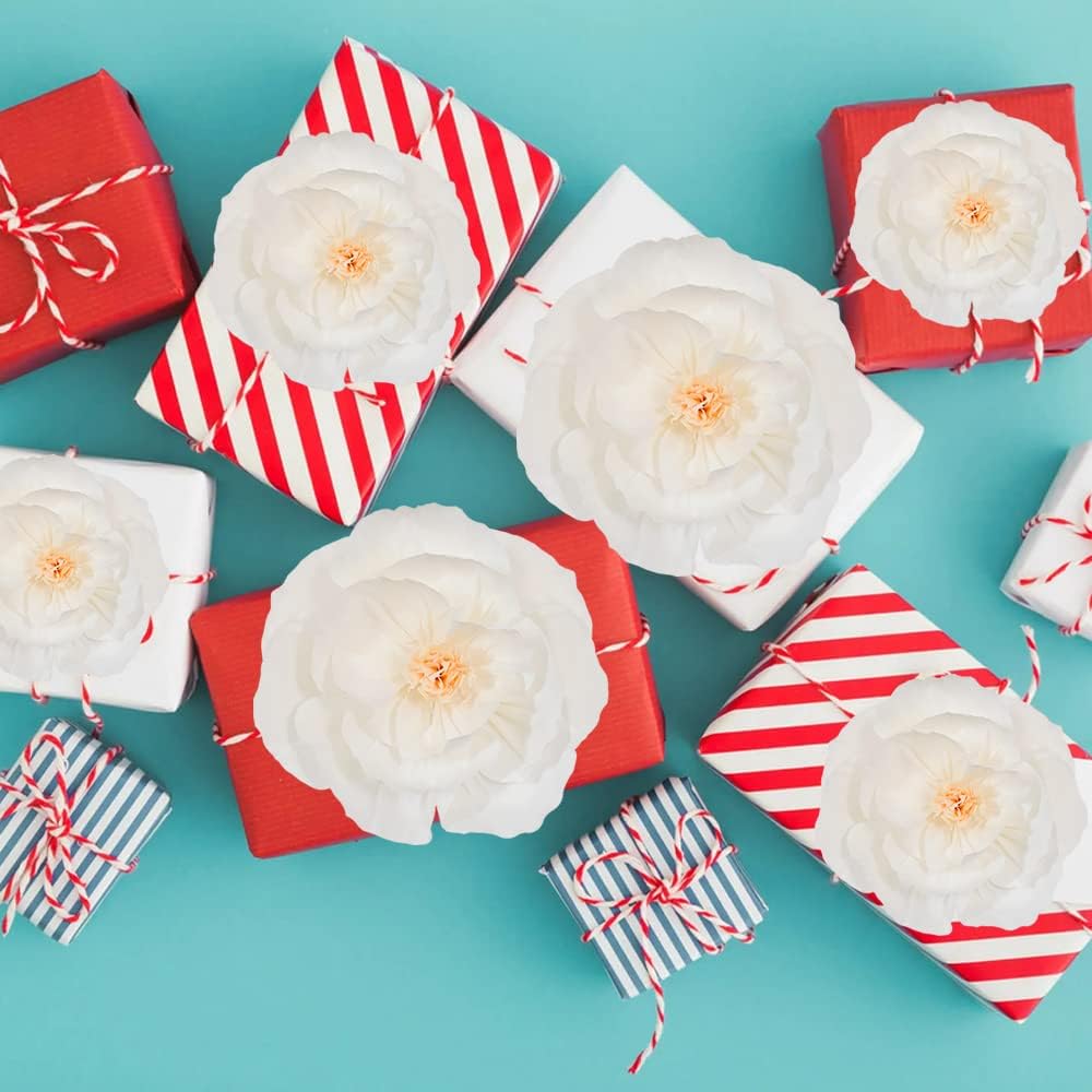 BEISHIDA 6 Piece Paper Flower Decoration Set White