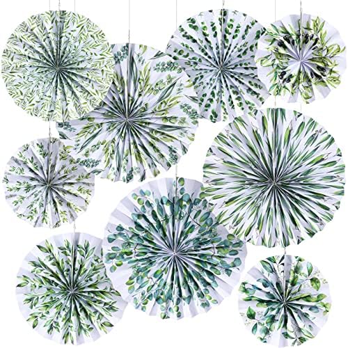 Outus 9 Pcs Eucalyptus Paper Fans Classroom Decor