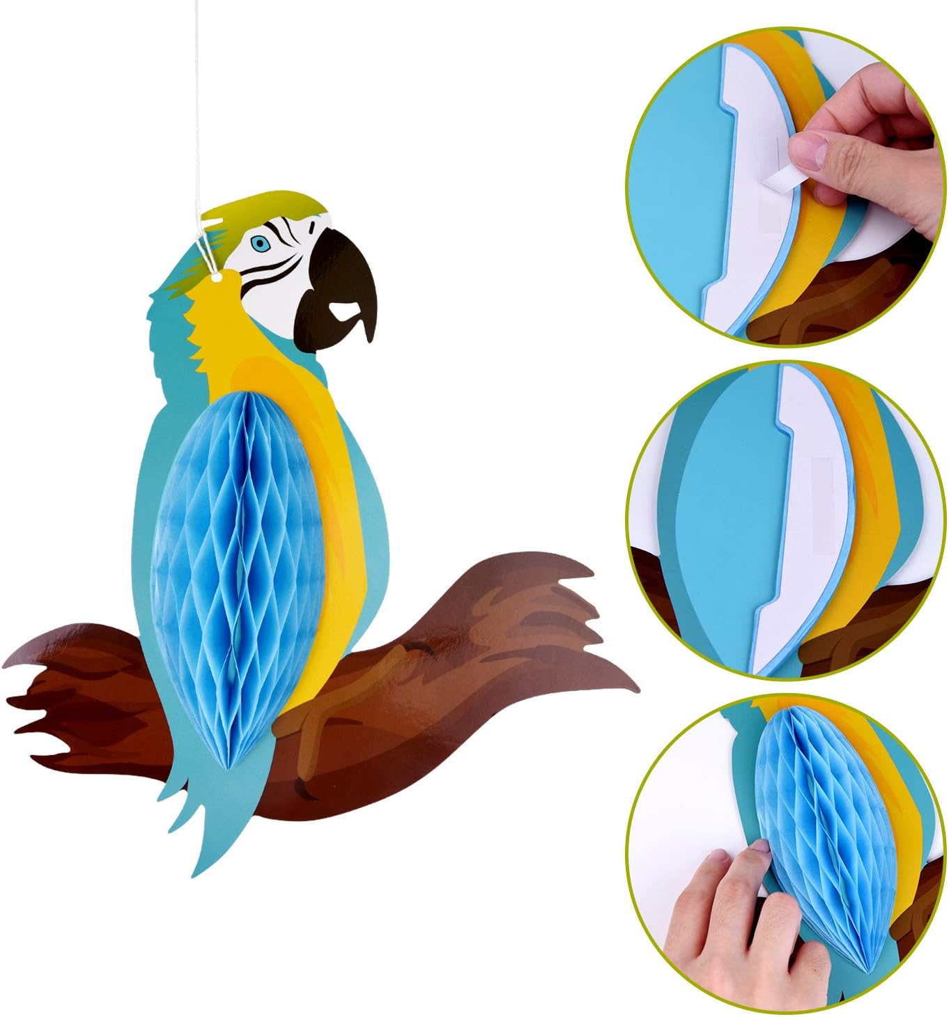 Tuparka 6pcs Tropical Birds Hanging Decorations