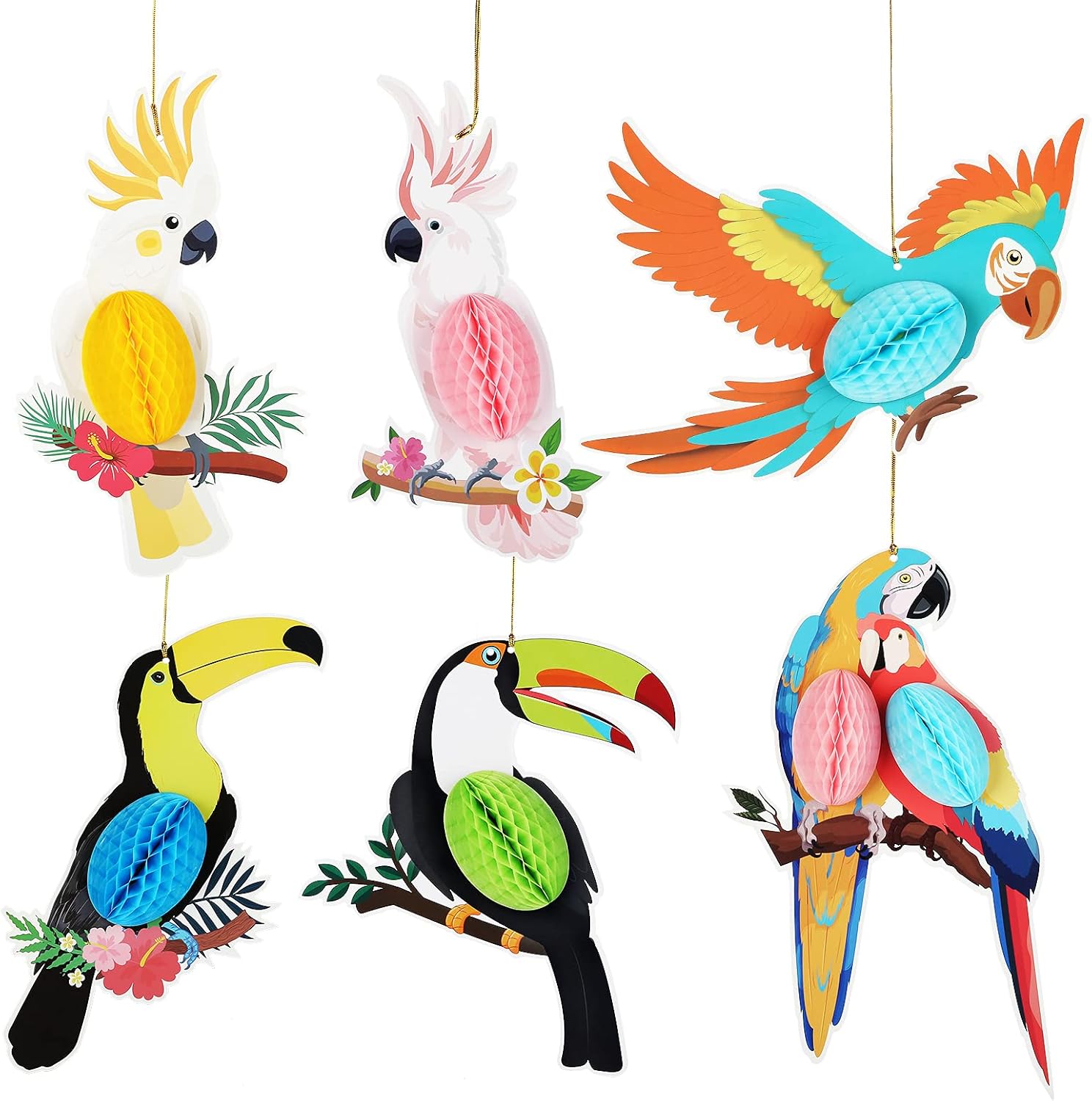 6 Pieces 10 Inch Tropical Parrot Birds Paper Cutouts Decorations